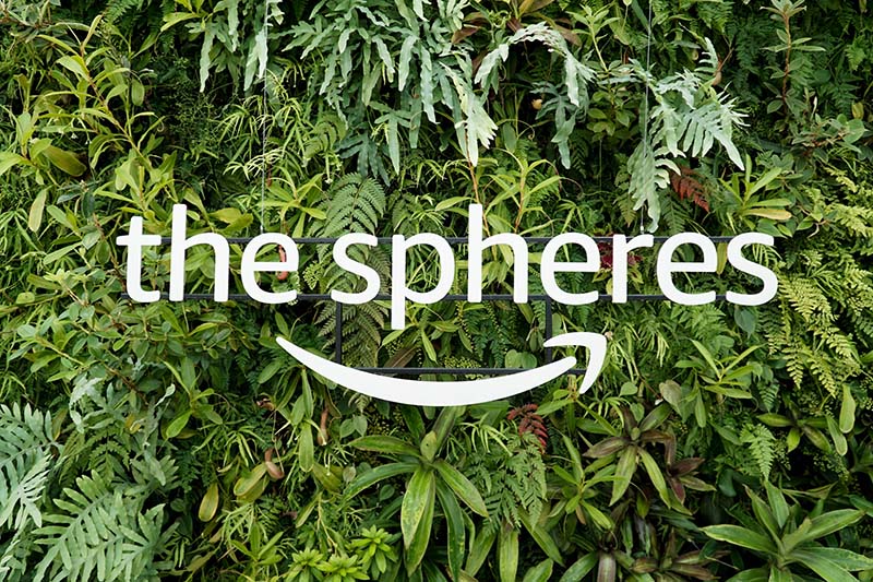 Visiting Seattle Amazon Spheres with Young Toddler